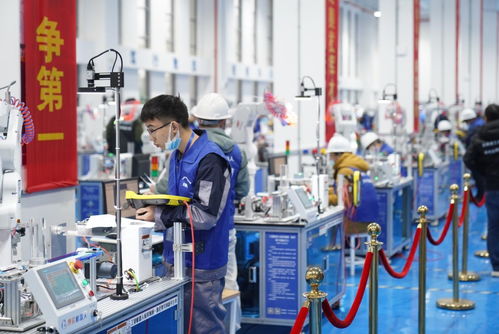 第四届安徽工业机器人技术应用技能大赛在芜湖举行